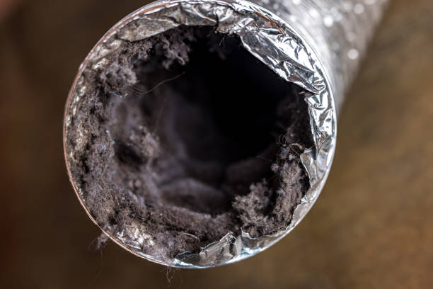 Best Ductwork Cleaning Services  in English, IN